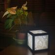 _DSC0518-3.jpg STL file Customisable 3D Lamp : Customisable 3D Lamp : Litho・3D printer design to download