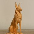 IMG_2301.jpeg Statue of Anubis