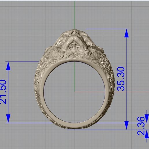 Screenshot_2.jpg Skull ring jewelry skeleton ring 3D print model