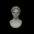 17.jpg Timothee Chalamet bust sculpture 3D print model