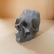 P1110150.jpg Skull and crossbones lid for SATA paint bucket 600ml
