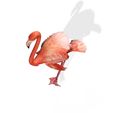 A7.jpg DOWNLOAD Flamingo 3D MODEL ANIMATED - BLENDER - 3DS MAX - CINEMA 4D - FBX - MAYA - UNITY - UNREAL - OBJ -  Flamingo DINOSAUR DINOSAUR Flamingo DINOSAUR BIRD