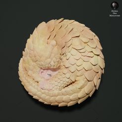 sunda_pangolin_1.jpg 3D file Sunda Pangolin Curled Up・3D printer model to download
