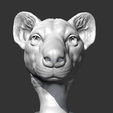 01.png Hyena Head AM14 3D print model