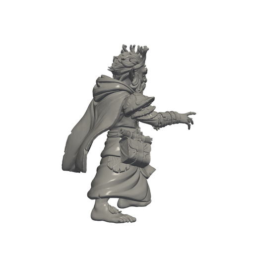 🎲 Forest Protector F・ STL File for 3D printing・Cults
