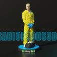 2.jpg JESSE PINKMAN_BREAKING BAD 3DMODEL SABIOPRODS 3D PRINT MODEL