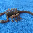 Scorpion Flexi Print-In-Place