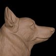 15.jpg Corgi