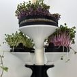 IMG_5626.jpeg Modular Microgreens Tower - Nature-Inspired 3D-Printed Vertical Growing System