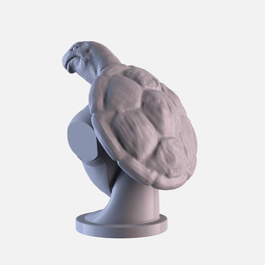 T06.png Tartaruga