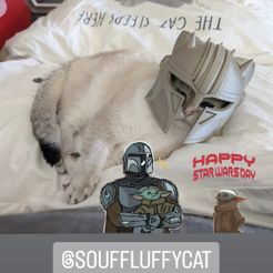 THE ARMORER CAT - Helmet