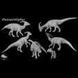 PARASAUROLOPHUS-MANADA-CUADRADA.jpg PARASAUROLOFO (Parasaurolophus walkeri)