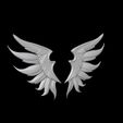 bandicam-2026-03-09-21-37-01-146.jpg wings