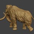 Mammoth-P4-0004.jpg Mammoth P4