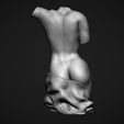11.jpg Female Torso 3D Model