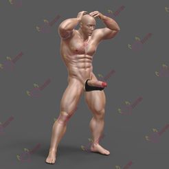double-penetration-accessory01.jpg OBJ file DP accessory・Model to download and 3D print