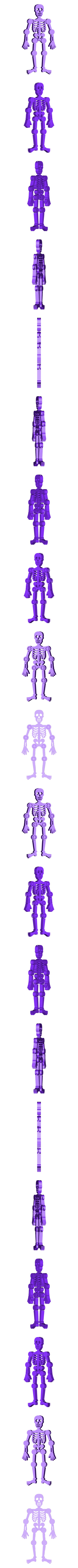 skeleton.stl 'Skeletonz'