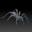 fff111.jpg Spider
