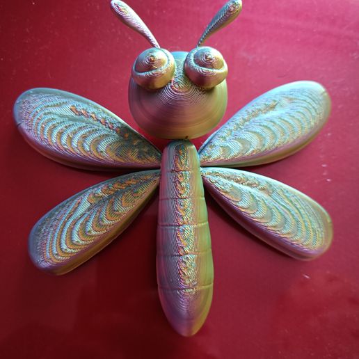 IMG20250528073312.jpg Libelle - Ważka