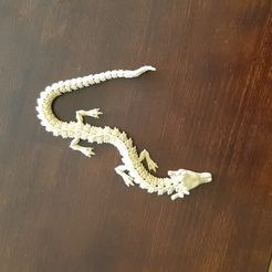 Articulated Dragon