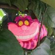 Cheshire Cat