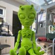 Anycubic Flexi Print-in-Place Alien