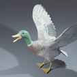 0015.png Photorealistic duck - posable/rigged [stl file included ]