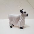 20250719_160301.jpg BOO COW