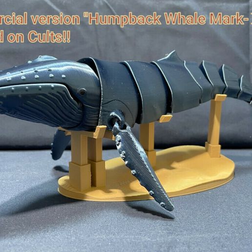 13e830af-b698-42c0-9e37-83b818085529.jpg Flexi Humpback Whale - New Type(print-in-place)
