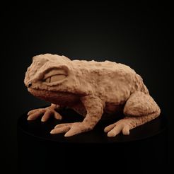 Giant-toad-(1).jpg Frogfolk: Giant Toad