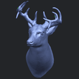 11_TDA0615_Deer_HeadB09.png Free 3D file Deer Head・Template to download and 3D print, GeorgesNikkei