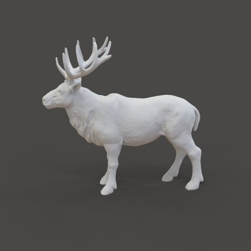 Deer_1.2.jpg Riesenhirsch