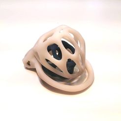 DSC_0082.jpg STL file Chastity Cage with "Inner Sheath"・3D print design to download