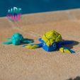 01.jpg Turtle due Flexi