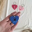 PXL_20220512_123516983.jpg Customizable Pet ID Tags – Personalized Safety for Your Furry Friend