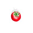 7.jpg TOMATO FRUIT VEGETABLE FOOD 3D MODEL - 3D PRINTING - OBJ - FBX - 3D PROJECT RED TOMATO FRUIT VEGETABLE FOOD