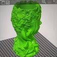 1624104548864.jpg Download STL file lady pot • 3D printer design, lumeilfd