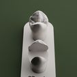 premolar-template-scupture-modelisation.jpg SCULPT - 3D tooth modeling
