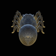 flexi-spider-5.png flexi spider / portia / print in place / 3Dprint