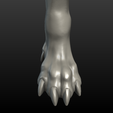 Wolf_Paw-007.png Wolf Paw