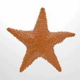 Starfish.jpg Starfish, étoile de mer