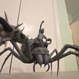 WhatsApp-Image-2026-01-13-at-5.29.47-PM-1.jpeg Grounded 2- Max and Orb weaver Spider