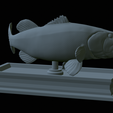 Bass-mouth-2-statue-4-23.png fish Largemouth Bass / Micropterus salmoides in motion open mouth statue detailed texture for 3d printing