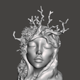 Screenshot-2025-03-16-230932.png Tree Elf