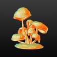 7e7fe7c7f3455ebfbc4ce16a83027107_display_large.jpg Mushrooms