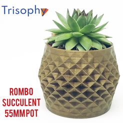 InShot_20210119_102508968.jpg ROMBO - 55mm succulents plantpot