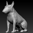 wwqwqde.png Bullterrier seated