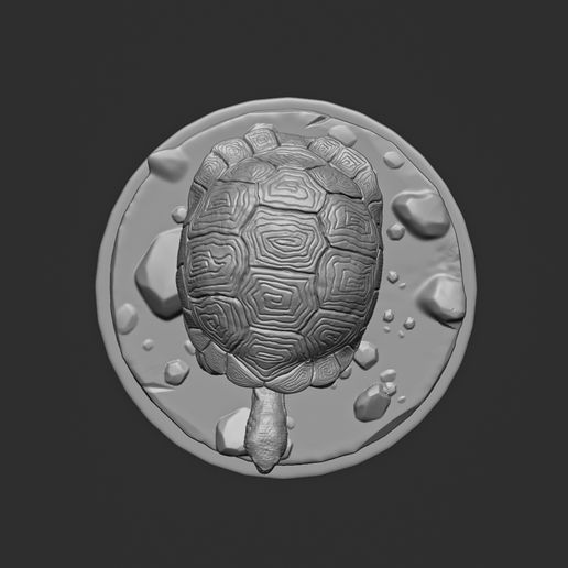 Tortoise07.jpg Tortoise