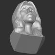 23.jpg Celine Dion bust for 3D printing