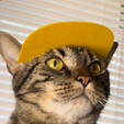 IMG_3977.png Baseball Cat Cap